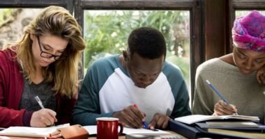 Bursary for university students