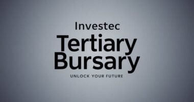 Investec Bursary