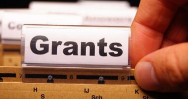 Scholarships and Grants for College: How to Fund Your Education Without Debt