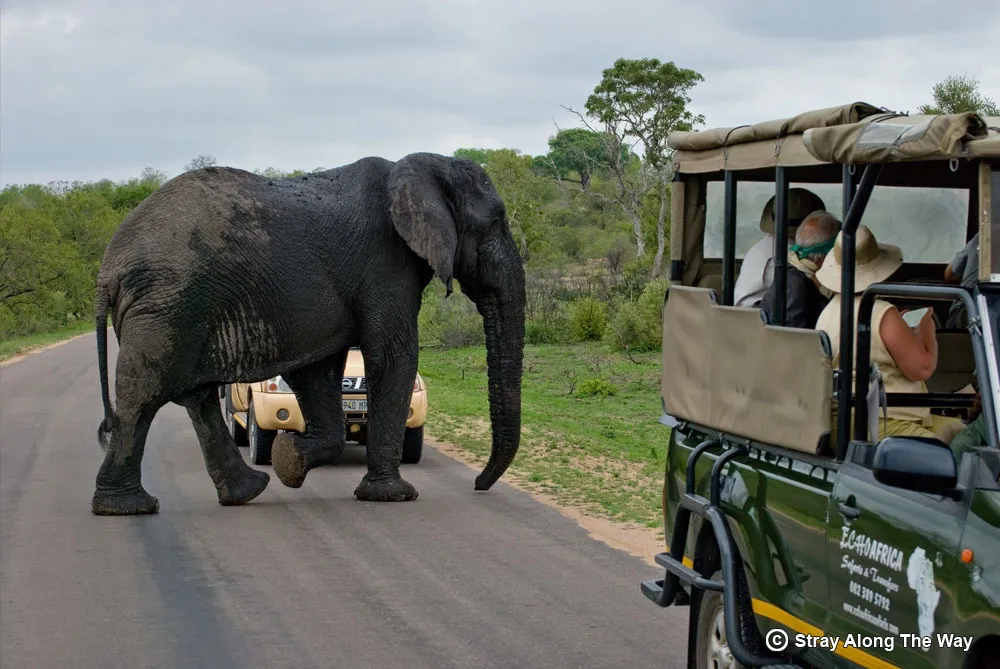 South African National Parks