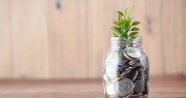 What is a Bursary